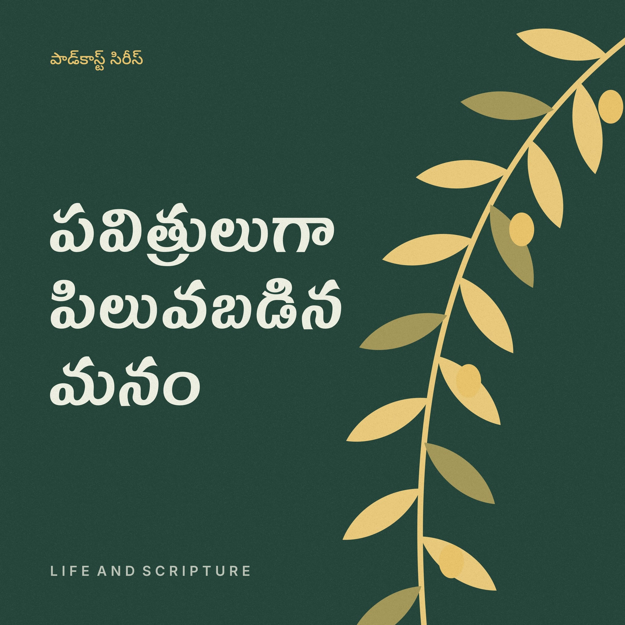 పవిత్రులుగా పిలువబడిన మనం